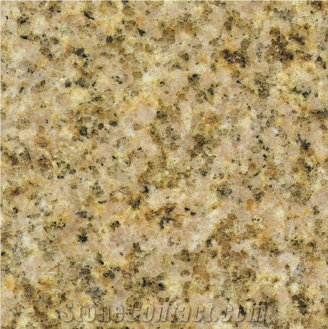 Putian Rust Granite Tile