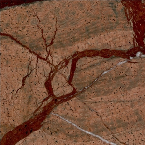 Rainforest Brown Marble