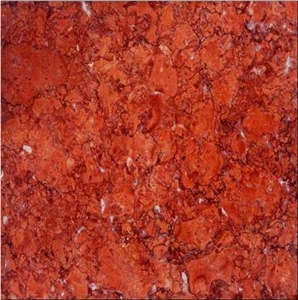 Red Fossil Marble