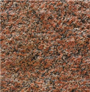 Red Sphynx Granite