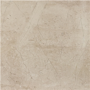 Regal Fishskin Beige Marble