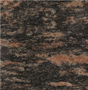 Rockspring Dark