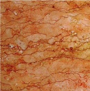 Rosa Anark Veined