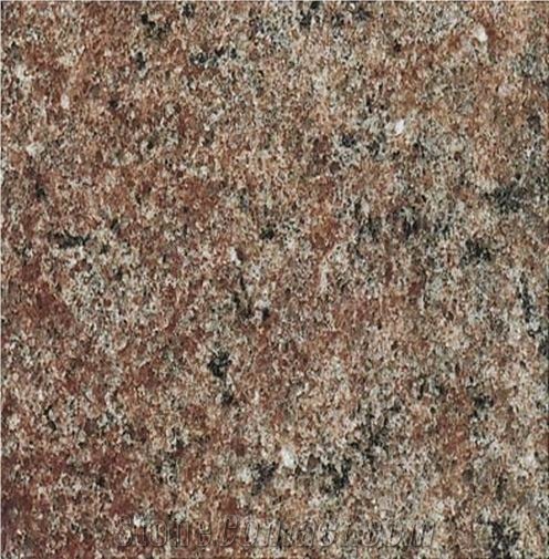 Rosa Samambaia Granite 