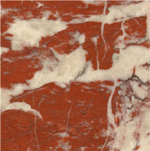 Rouge Incarnat Marble Tile