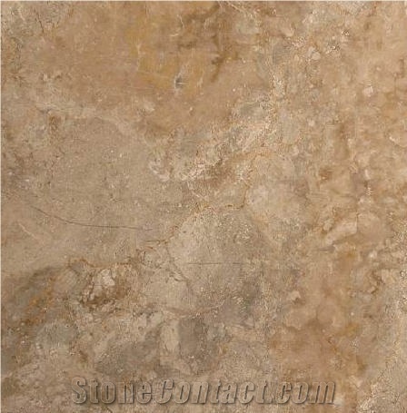 Royal Oyster Commercial Marble 
