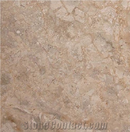 Royal Oyster Premium Marble 