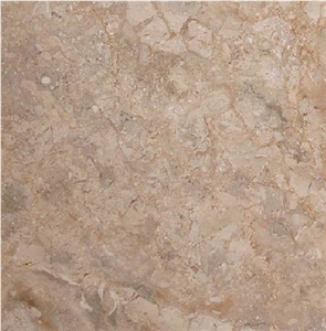 Royal Oyster Premium Marble