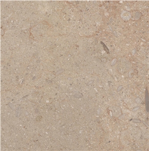 Rum Beige Limestone