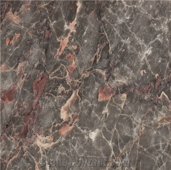 Salome Brown Marble 