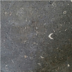 San Vicente Limestone