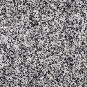 Santa Clara Gray Granite