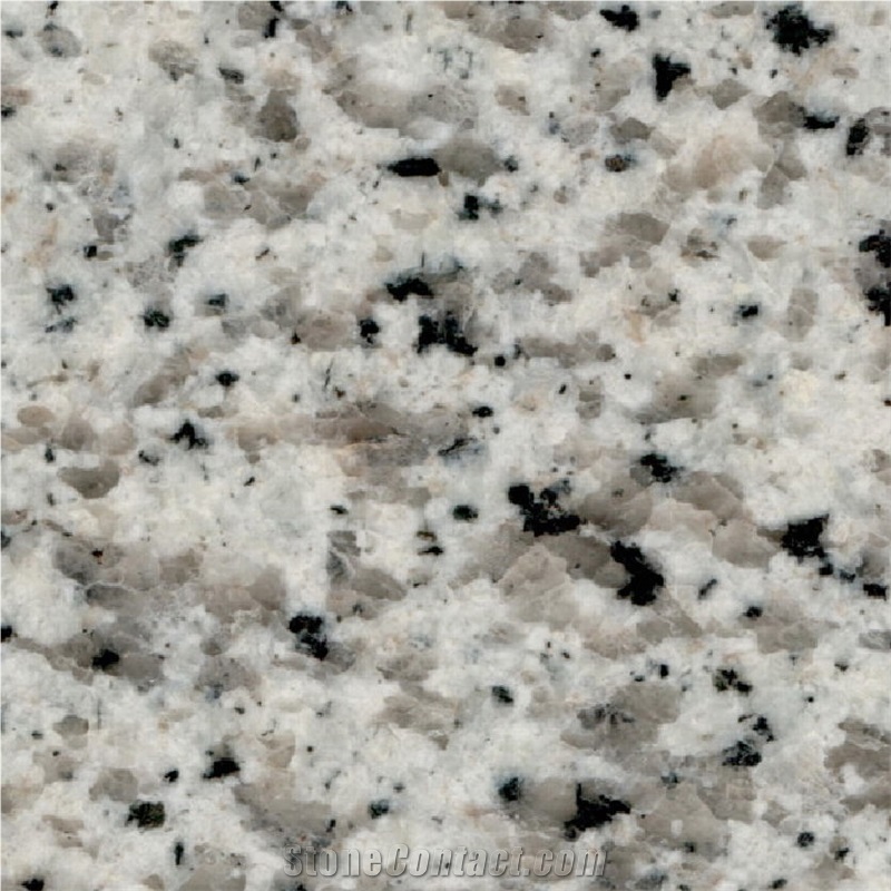 Saudi Bianco Granite Tile