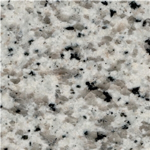 Saudi Bianco Granite Tile
