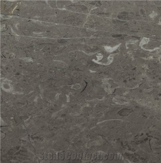 Savana Grey Marble Tile