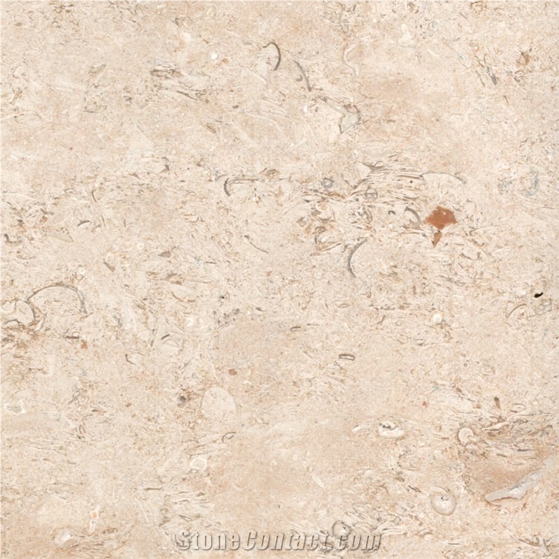 Seabed Limestone Tile
