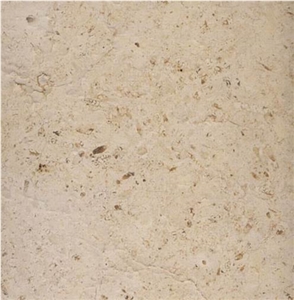 Seashell Limestone