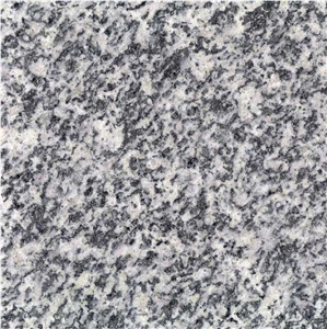 Serizzo Antigorio Granite