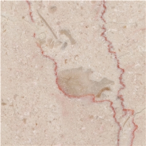 Shell Beige