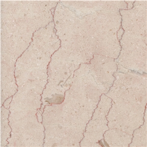 Shell Beige