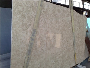 Shells Reef Beige Limestone