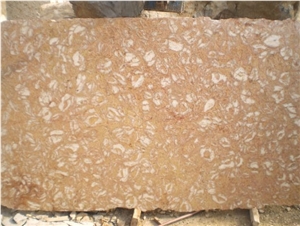 Shells Reef Pink Limestone