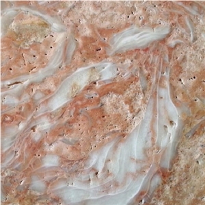 Shells Reef Pink Limestone
