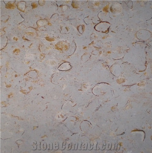 Shellstone Bulgaria Tile