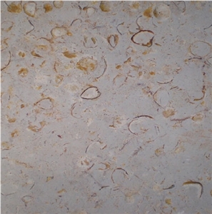 Shellstone Bulgaria