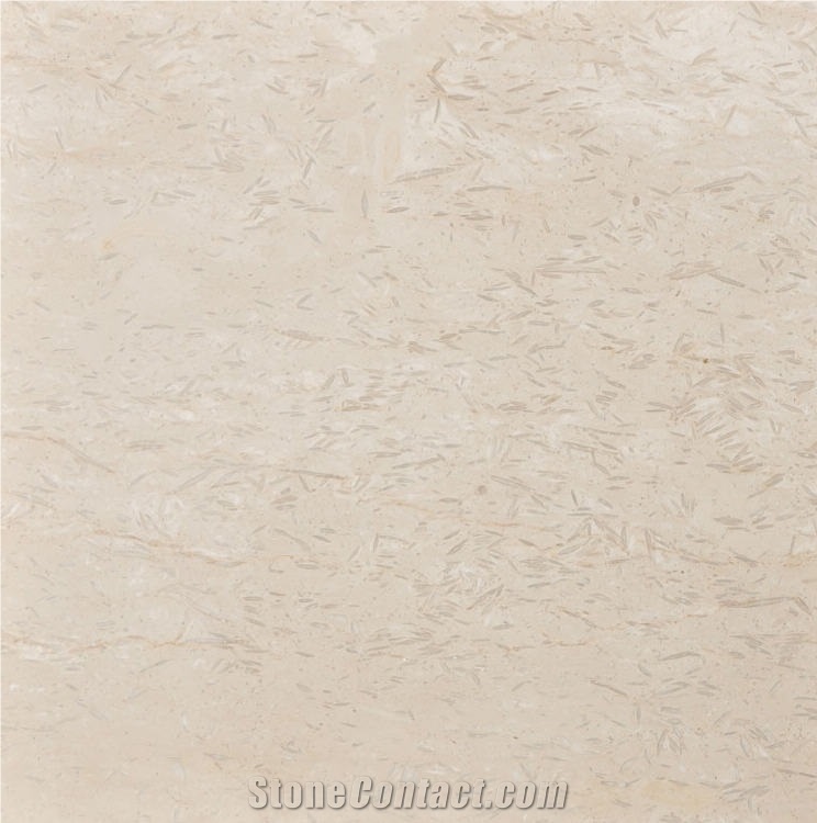 Silkway Intense Fossil Marble 