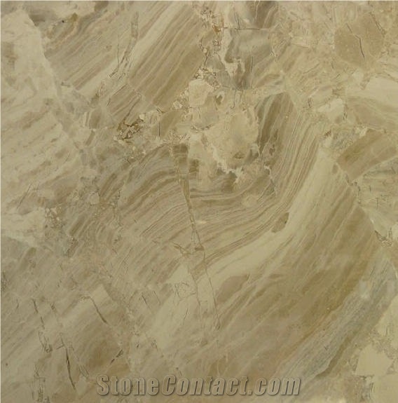 Silky Wood Marble 