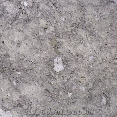 Silver Fox Limestone 