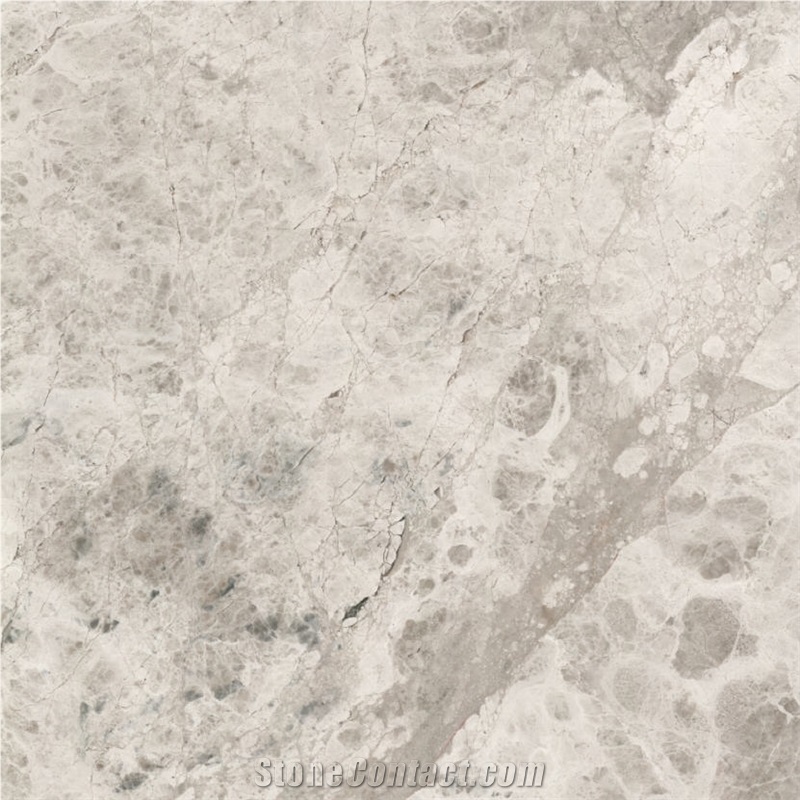 Silver Galaxy Marble Tile