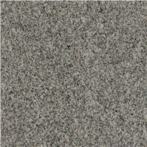 Silver Line Granite Tile