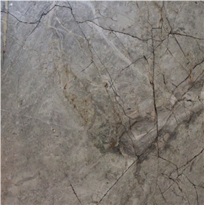 Silver River Marble Tile