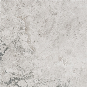 Silver Shadow Marble