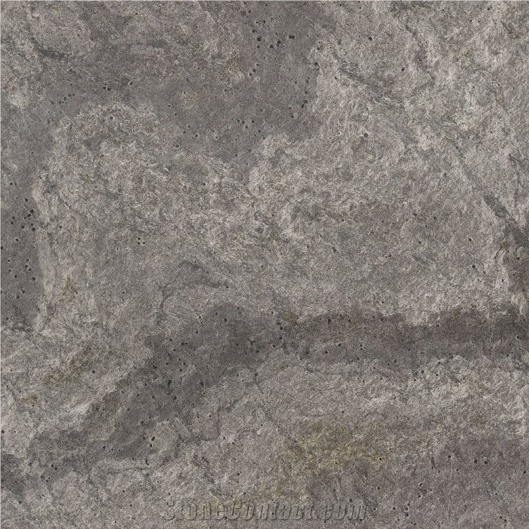 Silver Shadow Quartzite Tile