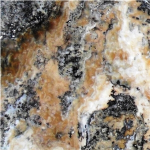 Silver Traonyx