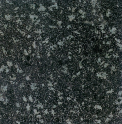 Snow Black Granite 