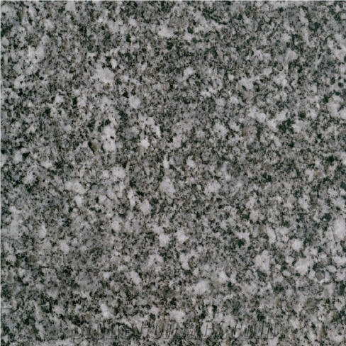 Snow Grain Granite 