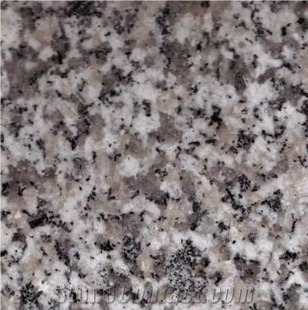 Snow Grey Granite 