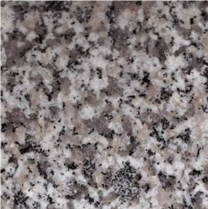 Snow Grey Granite