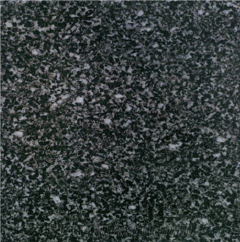 Snow Night Granite 