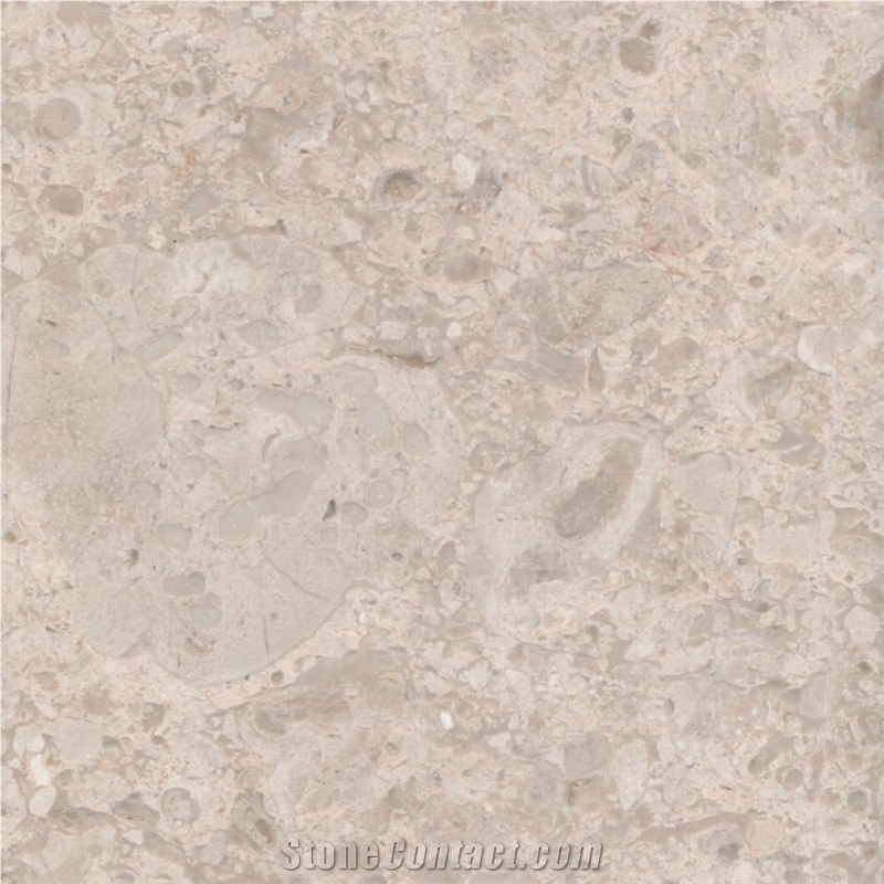 Snow Pearl Marble 