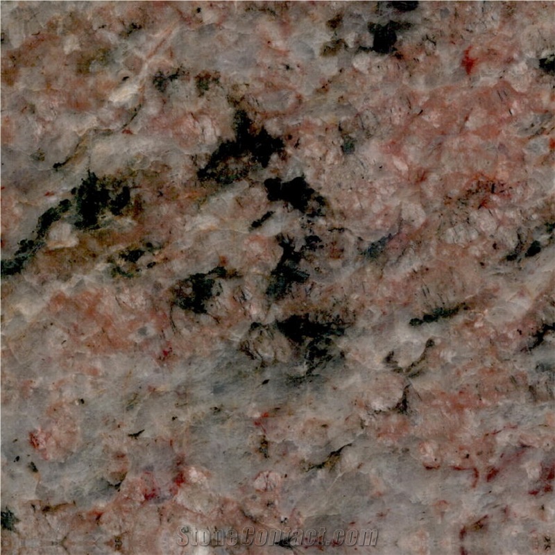 Special Brown Granite Tile