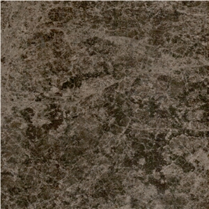 Spider Brown