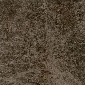 Spider Brown