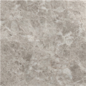 Spider Gray