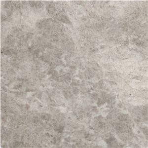 Spider Gray
