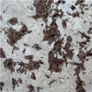Splendor White Granite